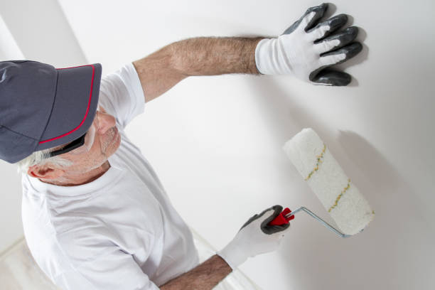 Best Basement Mold Removal  in Indian River, MI