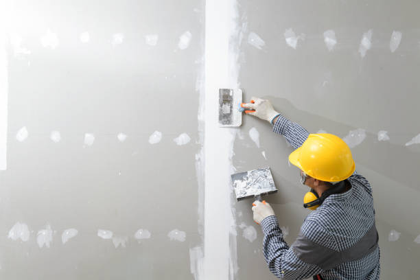 Best HVAC Mold Inspection and Cleaning  in Indian River, MI