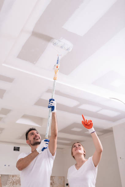 Best Emergency Mold Remediation  in Indian River, MI