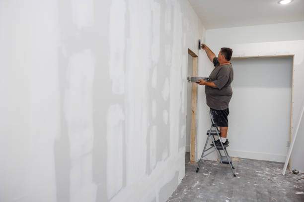 Best Post-Construction Mold Inspection  in Indian River, MI