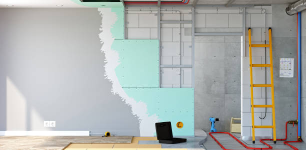 Biohazard Mold Removal in Indian River, MI