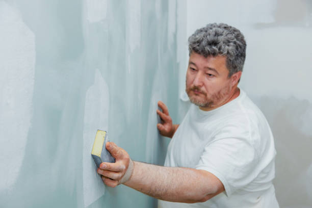 Best Mold Documentation for Insurance Claims  in Indian River, MI