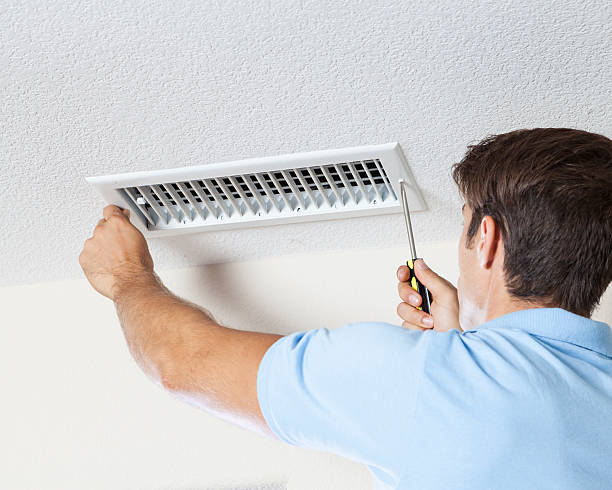 Best Mold Odor Removal Services  in Indian River, MI