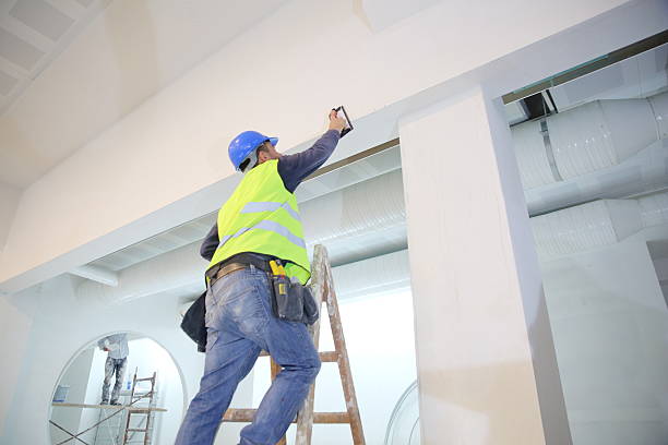  Indian River, MI Mold Removal Pros