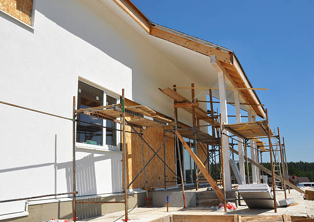 Best Real Estate Mold Inspection  in Indian River, MI