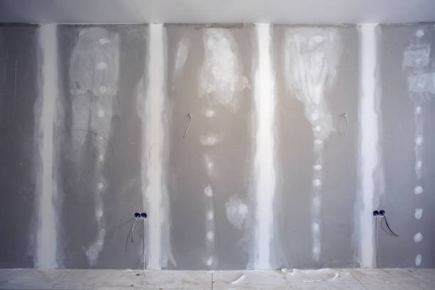 Best Airborne Mold Testing  in Indian River, MI